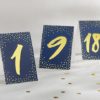 Navy and Gold Foil Tented Table Numbers 1-18