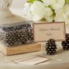 Pinecone Place Card/Photo Holders (Set of 6)